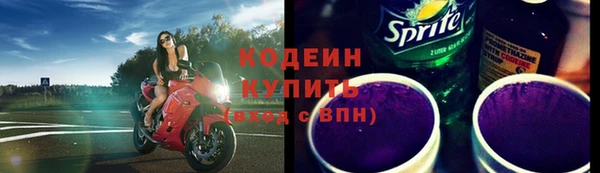 2c-b Гусев