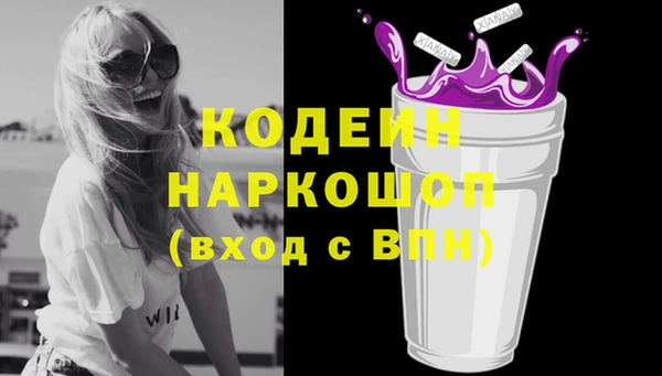 2c-b Гусев