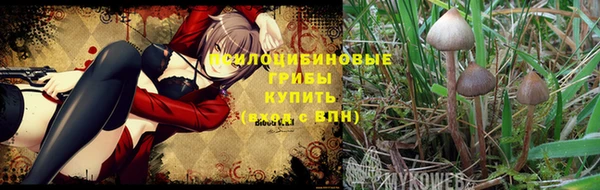 2c-b Гусев