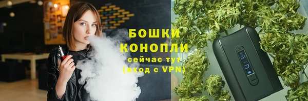 2c-b Гусев